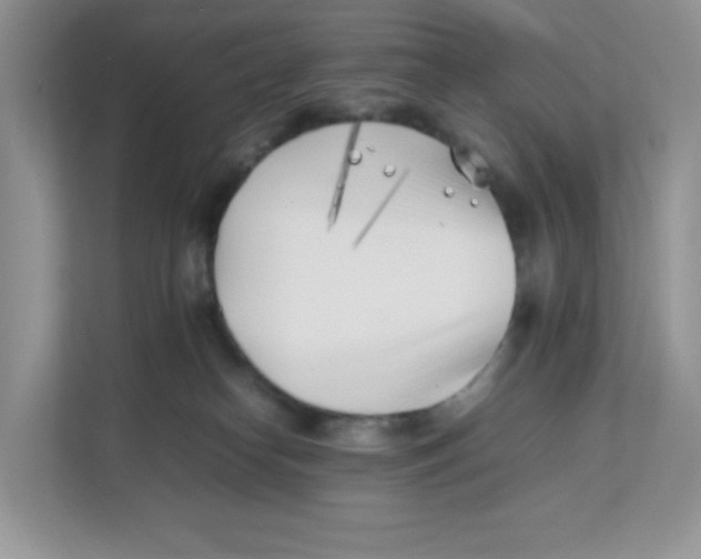 X0000111500182200908041210