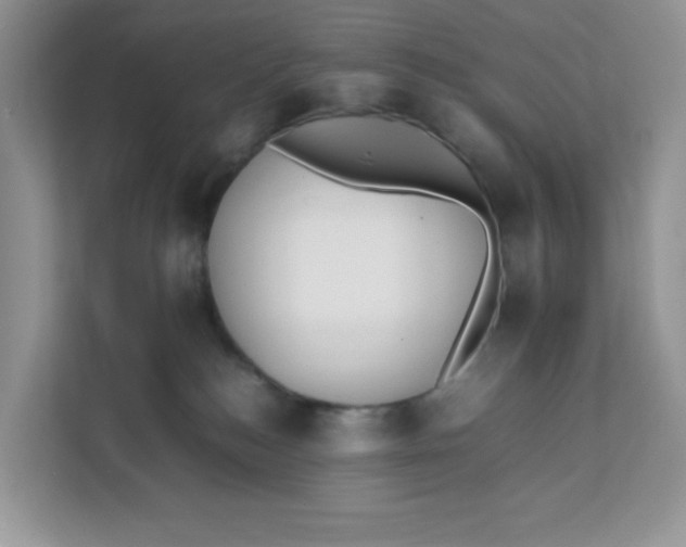 X0000111500184200908041210