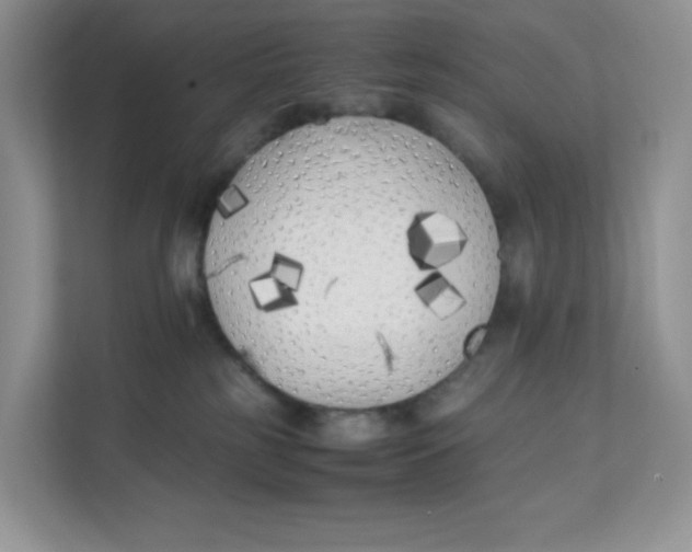 X0000111500185200908041210