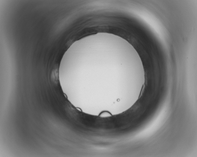 X0000111500190200908041210