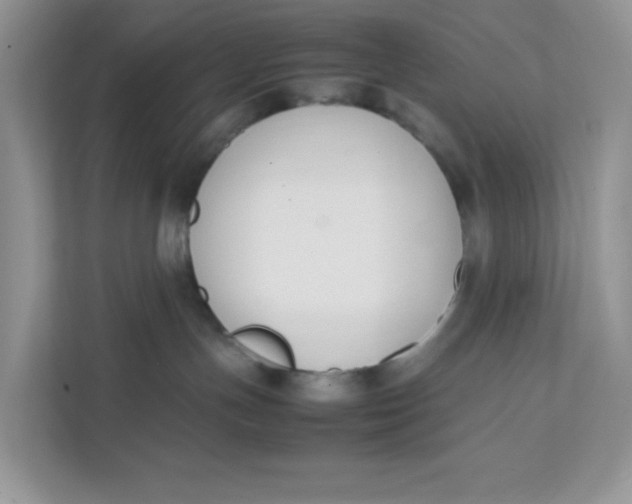 X0000111500191200908041210