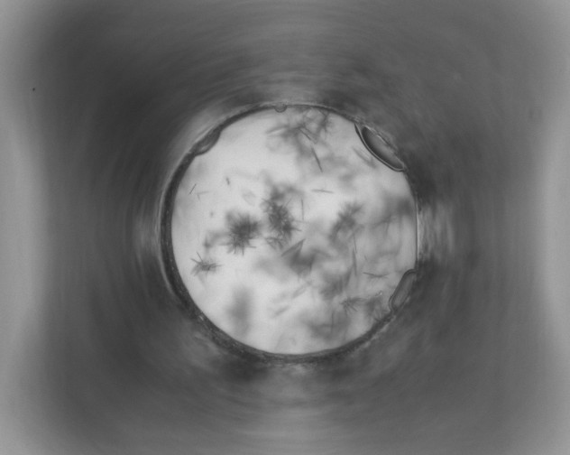 X0000111500195200908041209