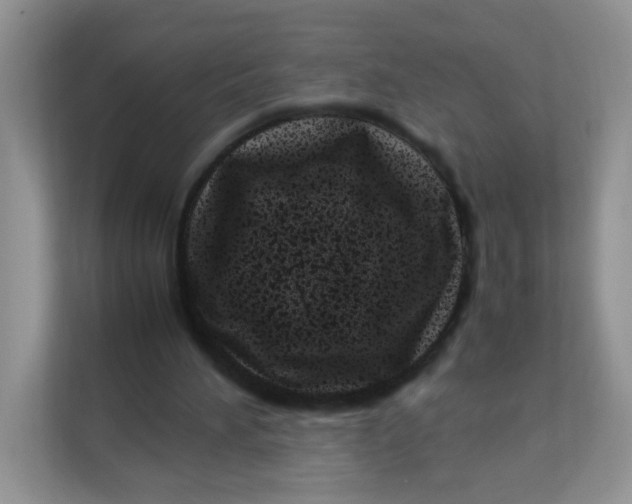 X0000111500196200908041209