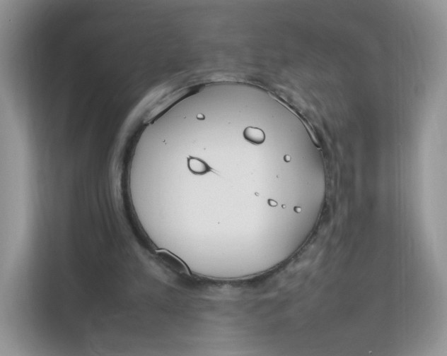 X0000111500197200908041209