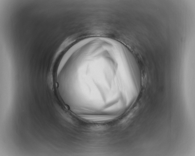 X0000111500198200908041209