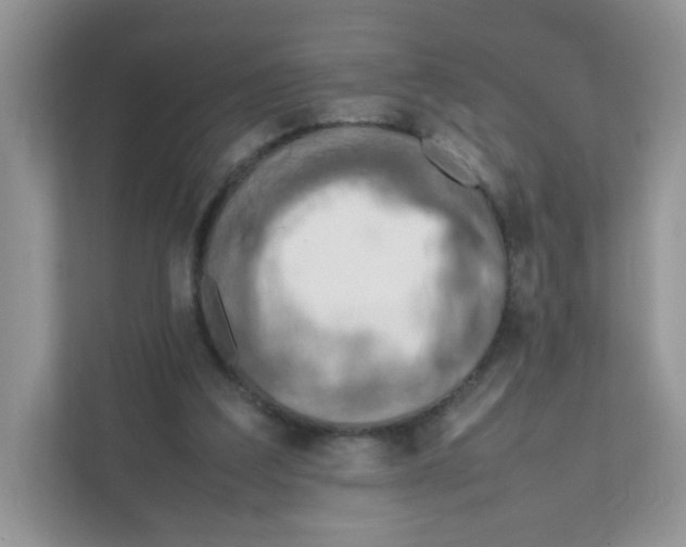 X0000111500203200908041209