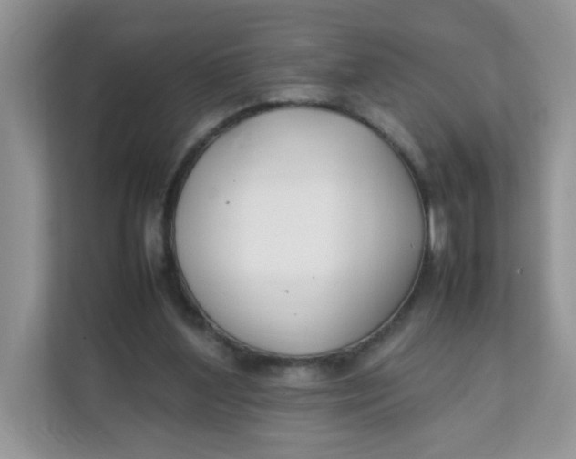 X0000111500204200908041209