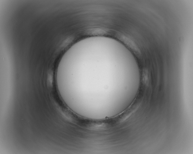 X0000111500206200908041209