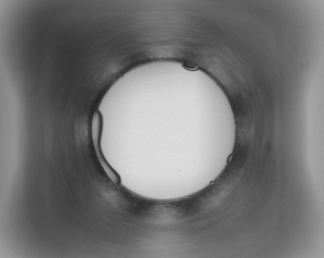 X0000111500207200908041209