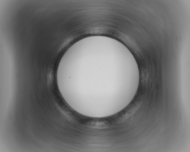 X0000111500208200908041209