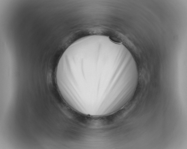 X0000111500209200908041209