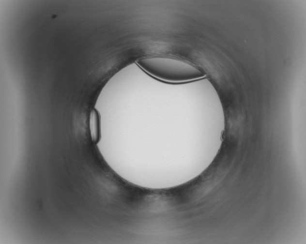 X0000111500211200908041209