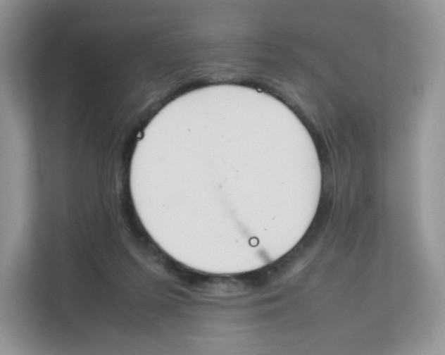 X0000111500215200908041209