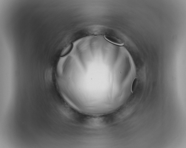 X0000111500217200908041209