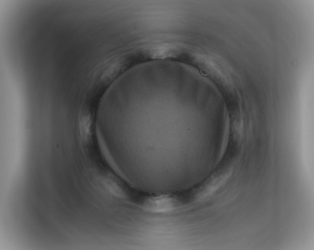 X0000111500219200908041209