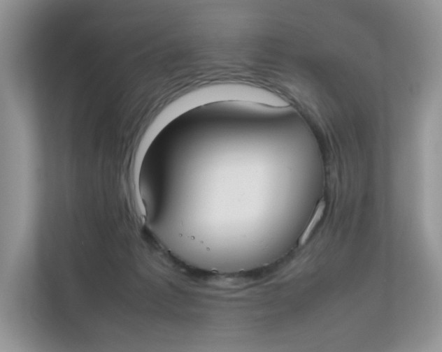 X0000111500221200908041209