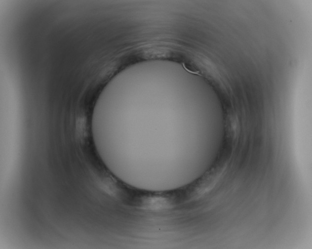 X0000111500224200908041209