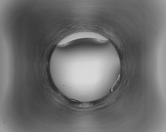 X0000111500225200908041209