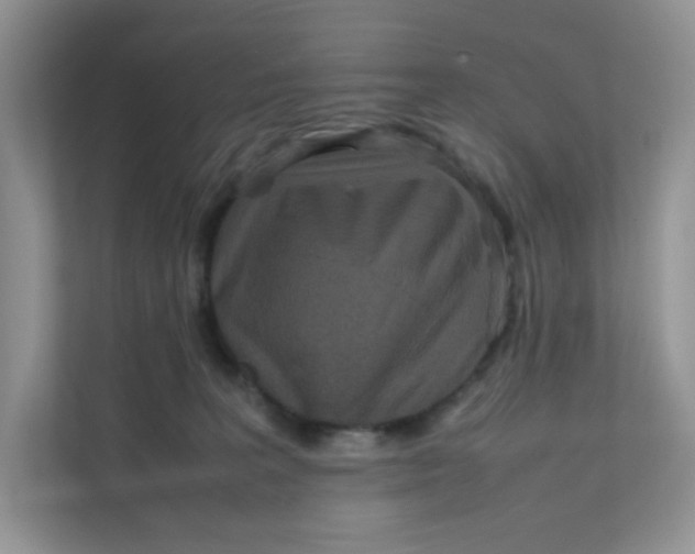 X0000111500227200908041209