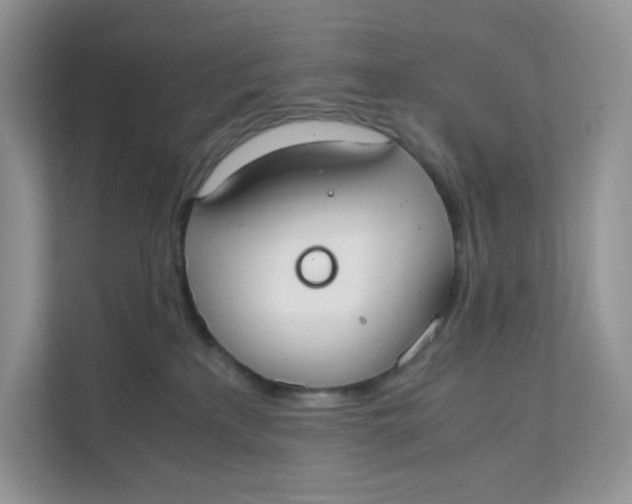 X0000111500233200908041209