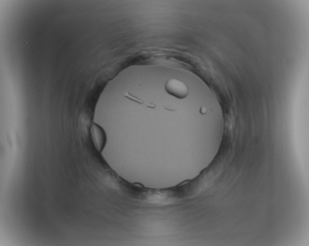 X0000111500235200908041209