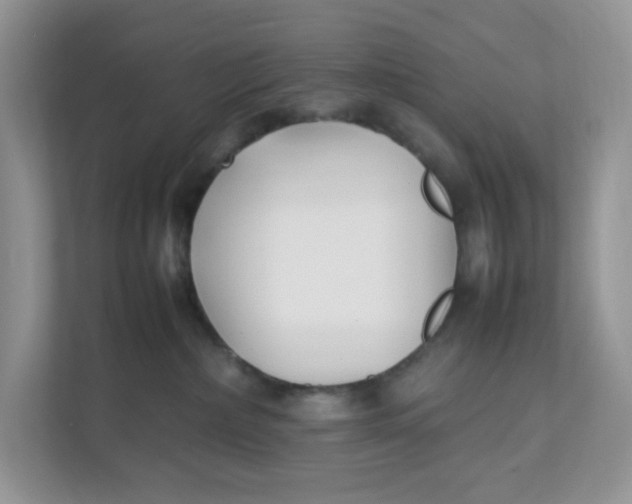 X0000111500236200908041209