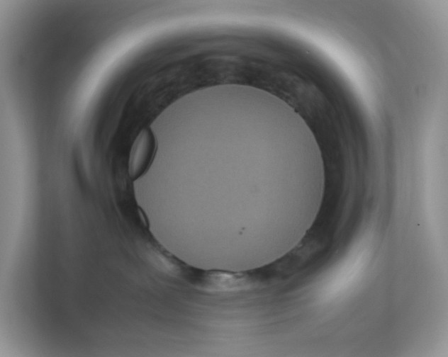 X0000111500239200908041209