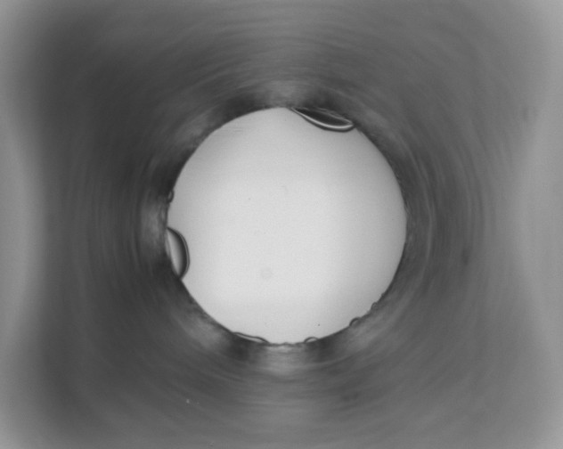 X0000111500240200908041209