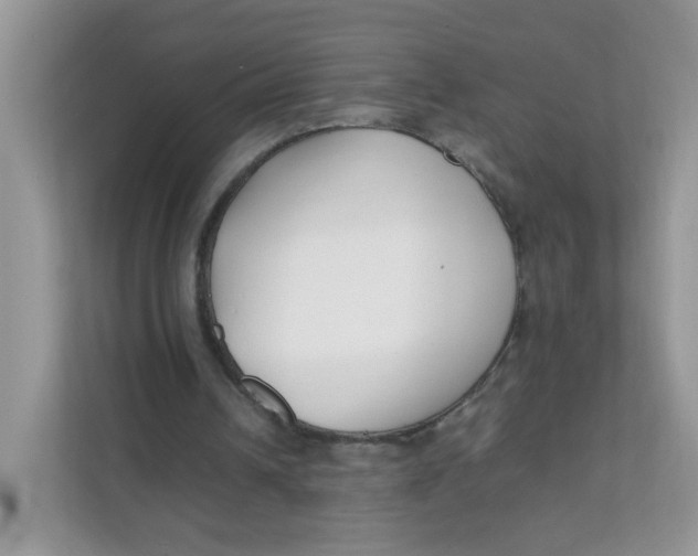 X0000111500242200908041208