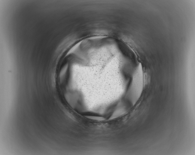 X0000111500243200908041208