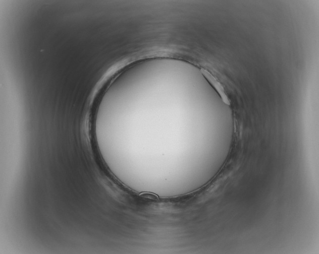 X0000111500244200908041208