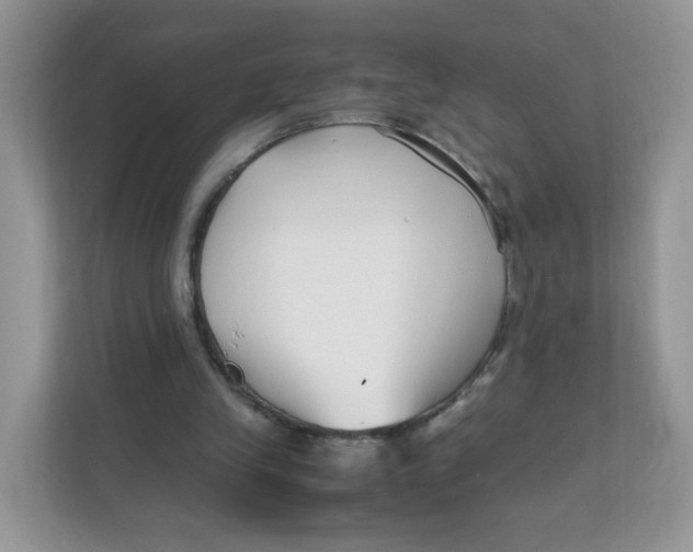 X0000111500245200908041208