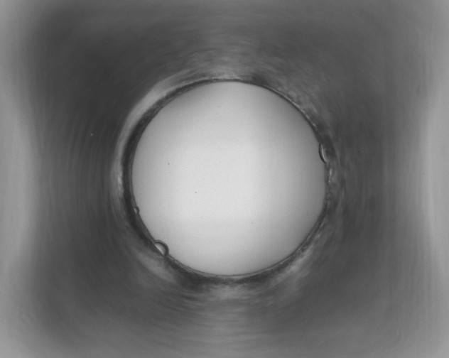 X0000111500246200908041208