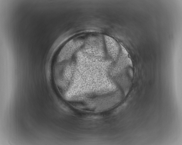 X0000111500247200908041208