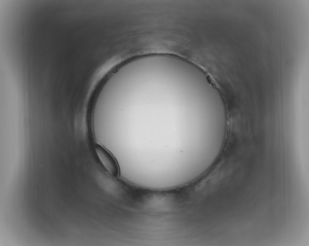 X0000111500248200908041208