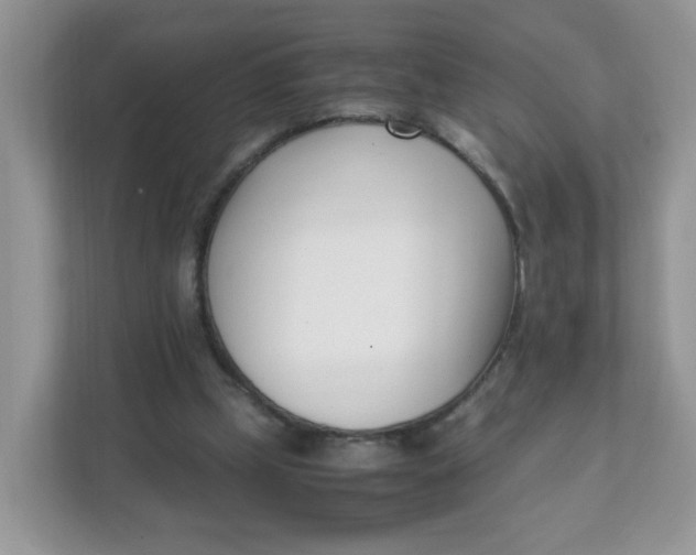 X0000111500249200908041208