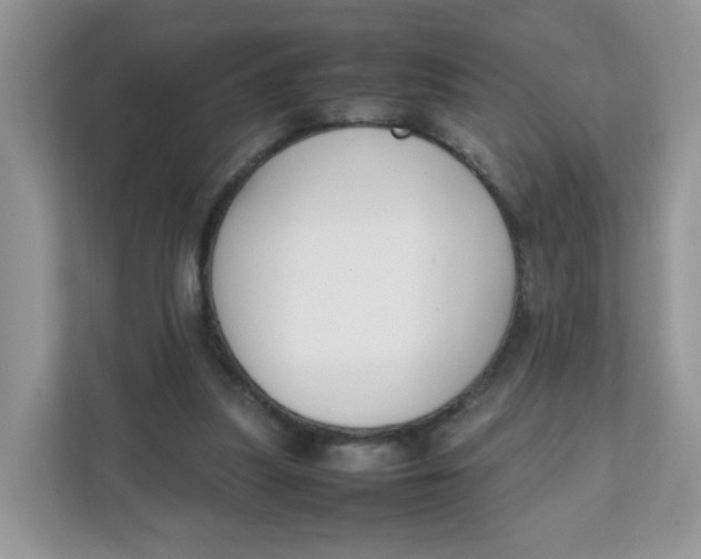 X0000111500251200908041208