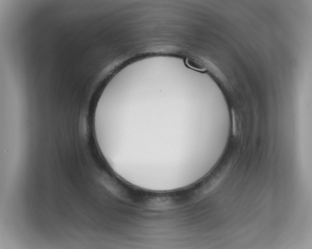 X0000111500252200908041208