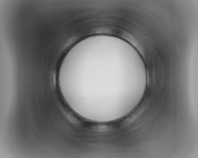 X0000111500253200908041208