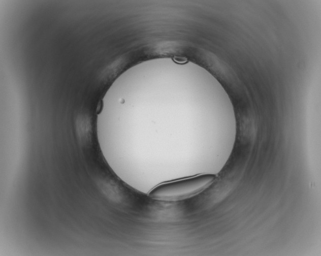 X0000111500260200908041208