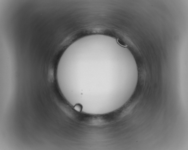 X0000111500262200908041208