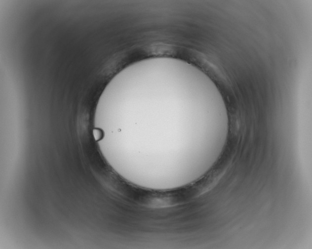 X0000111500263200908041208