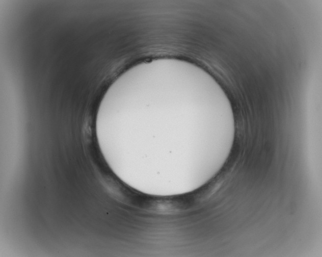 X0000111500264200908041208