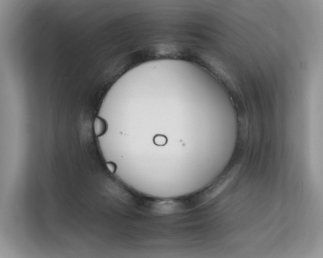 X0000111500269200908041208