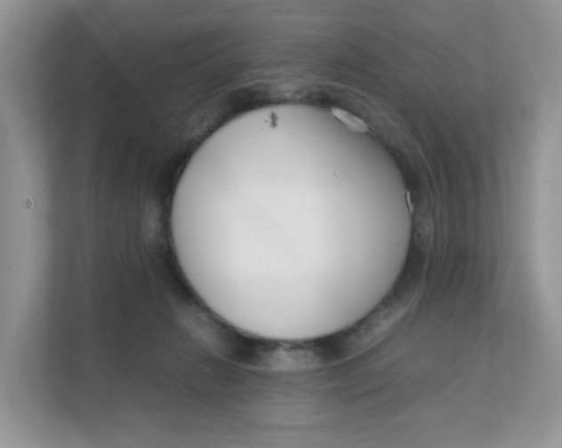 X0000111500270200908041208