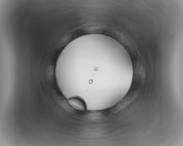 X0000111500278200908041208