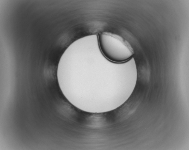 X0000111500280200908041208