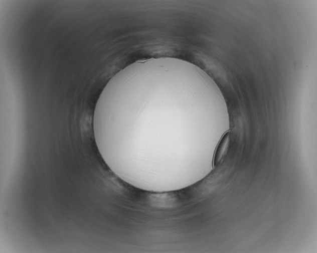 X0000111500281200908041208