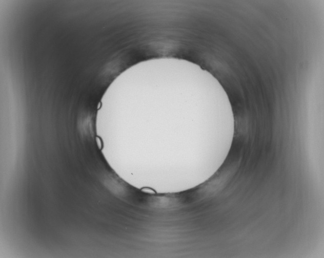 X0000111500286200908041208