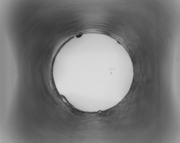 X0000111500289200908041208